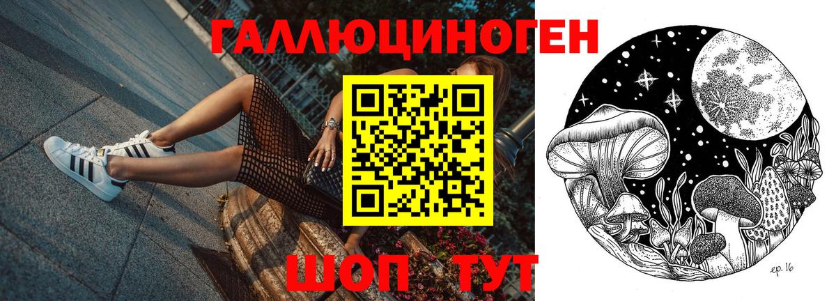 Псилоцибиновые грибы Psilocybe Северск