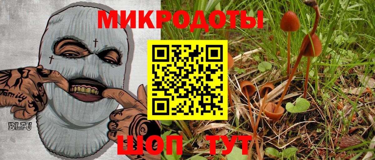 Галлюциногенные грибы MAGIC MUSHROOMS  Вход с VPN  Северск  Псилоцибиновые грибы Psilocybine cubensis 